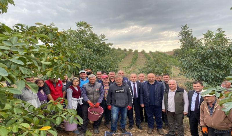 CEVİZLİ BAHÇE’NİN 2021 CEVİZ HASADI GENİŞ KATILIMLI BİR ETKİNLİKLE GERÇEKLEŞTİRİLDİ